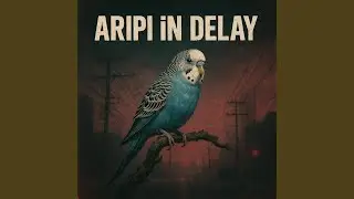 Aripi &icirc;n Delay (1.0)