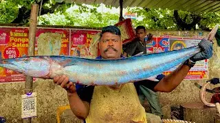 KASIMEDU🔥SPEEDSELVAM ARA KOLA FISH CUTTING VIDEO | 4K VIDEO | LifeOfFisherman #kasimeduspeedselvam 
