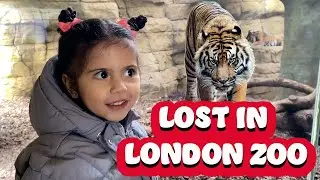 Avaani and Ayson: A Wild Day at London Zoo! 🦁🐼