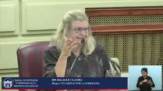 INTERVENCION DIPUTADA BALAGUE CLAUDIA - SESI&Oacute;N ORDINARIA N&ordm;12 -PERIODO ORDINARIO 143&ordm; - 27/11/25