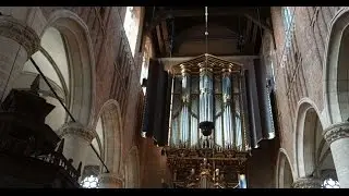 In the Pilgrim Church of Leiden, Organ Enthusiasts Gather