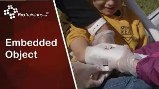 Embedded objects
