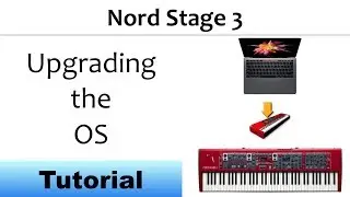Nord Stage 3 Update the OS Software