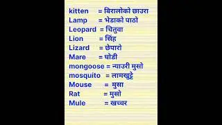 #English to nepali meaning #music #spokenenglish