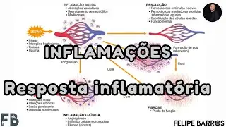 INFLAMAÇÃO - RESPOSTA INFLAMATÓRIA | Prof. Felipe Barros