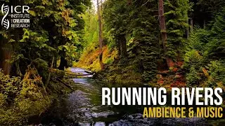 4K Running Rivers Ambience & Peaceful Music | Enjoy God's Creation - Serene Streams for Relaxation