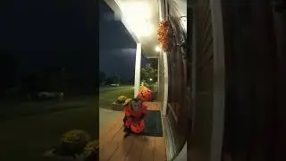 Scared Monkey Trick-or-Treating Gets Spooked by Storm! (Halloween Fail)