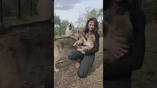 Wolf woman becomes trusted member of the pack