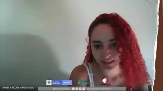 Ensambles H&iacute;bridos - Resumen del proyecto - Escuela D&eacute;bora Arango