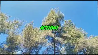 HERCULEON EXPLORATIONS(Keep It Clean Edition)PART 1