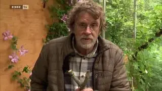 Søren Ryge præsenterer  Slangebøsser   TV   DR