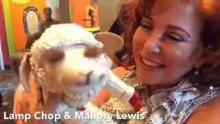 Lamp Chop & Mallory Lewis give the great Cecil Sinclaire & Carla Rhodes a shout out 4.26.14