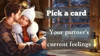 THEIR CURRENT FEELINGS PICK A CARD #tarot #reading 