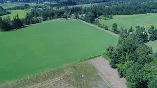Alluvial August fields