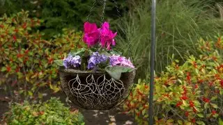 CobraCo&reg; EcoLiner&trade; | AvantGardenDecor.com