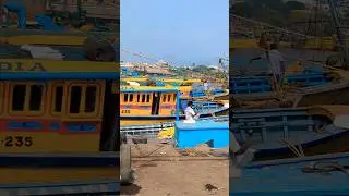 fishing harbour in vizag #fish #harbour #fishingharbour #telugu #shorts #ytshorts