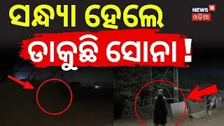 ସନ୍ଧ୍ୟା ହେଲେ ଡାକୁଛି ସୋନା ! Bhubaneswar Kinner Case | Crime News | Police Investigation | Odia News