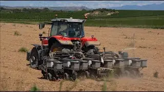 Testimonio de cliente &ndash; PTx Trimble y Precision Planting: m&aacute;s precisi&oacute;n, m&aacute;s eficiencia