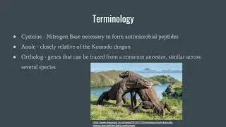 Komodo Dragon Presentation - Evolutionary Analysis