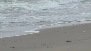 'I just sunk like a rock': Woman swallowed up to her hips in sand at Popham Beach