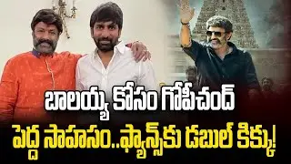 బాల‌య్య కోసం గోపీచంద్ పెద్ద సాహ‌సం. Gopichand Malineni movie with bala krishna | balayya