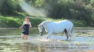 Hin und wieder zurück - Home
