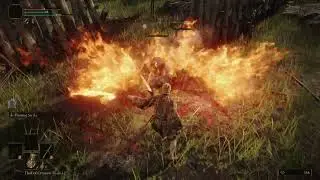 ELDEN RING parry practice