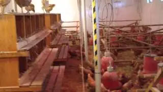 Activitate de zi in 