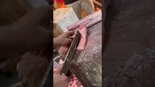 Amazing Speed Cutting Skills | Big Rawas Fish Cutting Live