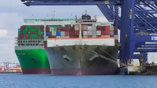 EVER ART - 23,992teu ultra large containership departing Port of Felixstowe 🇬🇧 26/7/24