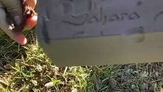 Crushing outside dec weather in Cali asmr floral foam crushing