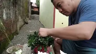 flower arrangements for UNDAS 2024
