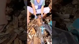 Log Splitter #logsplitter
