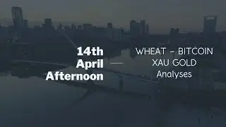 14th April Afternoon - WHEAT - BITCOIN - GOLD Price & Analysis
