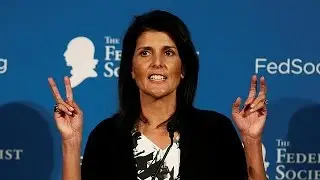 Donald Trump gives plum UN role to vocal critic
