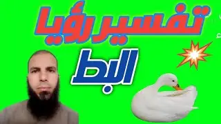 تفسير رؤيا البط في المنام