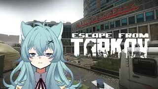 【EFT(PVE)】スカブは色々なとこ行きつつPMCは鍵開け