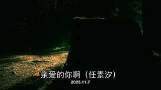 #口琴 任素汐《親愛的你啊》