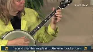 Gold Tone IT-800 Irish Tenor Banjo