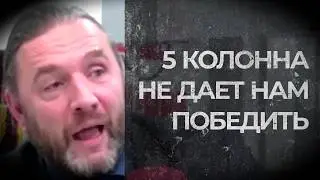 ПЯТАЯ КОЛОННА НЕ ДАЕТ НАМ ПОБЕДИТЬ (Шингаркин)