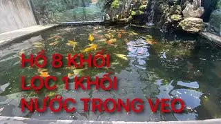 HỒ KOI 8 KHÔI LỌC 1 KHỐI NƯỚC TRONG VEO || CÁ KOI VLOG TRẦN ĐỨC CƯỜNG