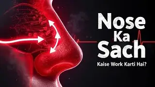 Nose Kaise Kaam Karti Hai? | Human Nose Function Explained in Hindi | Kya Kyun Kaise 