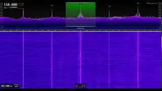 🇪🇸 RNE Radio 5 / 558 kHz - Mediumwave Reception - Last Minute of RNE on MW