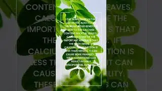 Katuk Leaves. Herbal Medicine #shorts