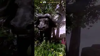 Jungle Quest- Teen VR Escape Challenge
