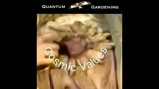 Cosmic Values             @5DGardening
