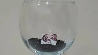 Creating fossil and soil layers-Hands on activity for grade 3 students