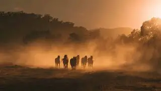 Reggae Roots Mystique 2025 ✨ | Don-papa Mix &ndash; Le Rituel des Chevaux