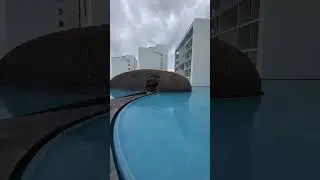 Couples Vacation
