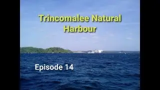 Trincomalee Natural Harbour| Episode 14| Places You Should Visit in Trincomalee| Travel Timez Trinco